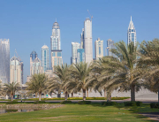 Beautiful drought-resistant garden featuring native plants and succulents in Dubai.