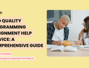 Find Quality Programming Assignment Help Service: A Comprehensive Guide